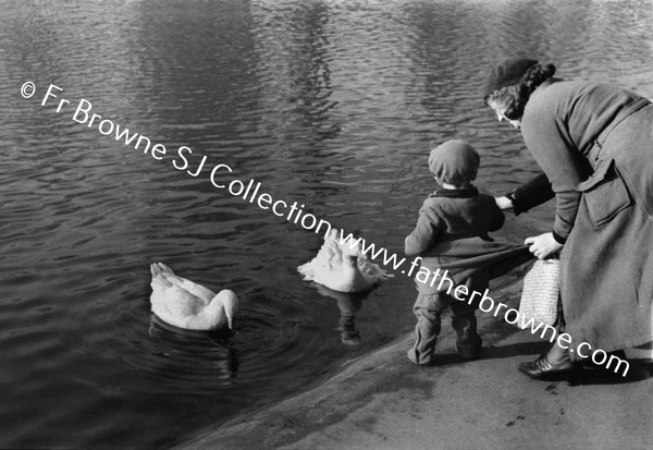 ST STEPHEN'S GREEN FEEDING DUCKS